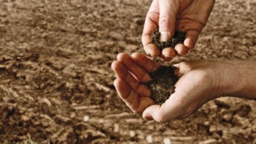 Landwirt, der wichtigste Beruf auf der Erde